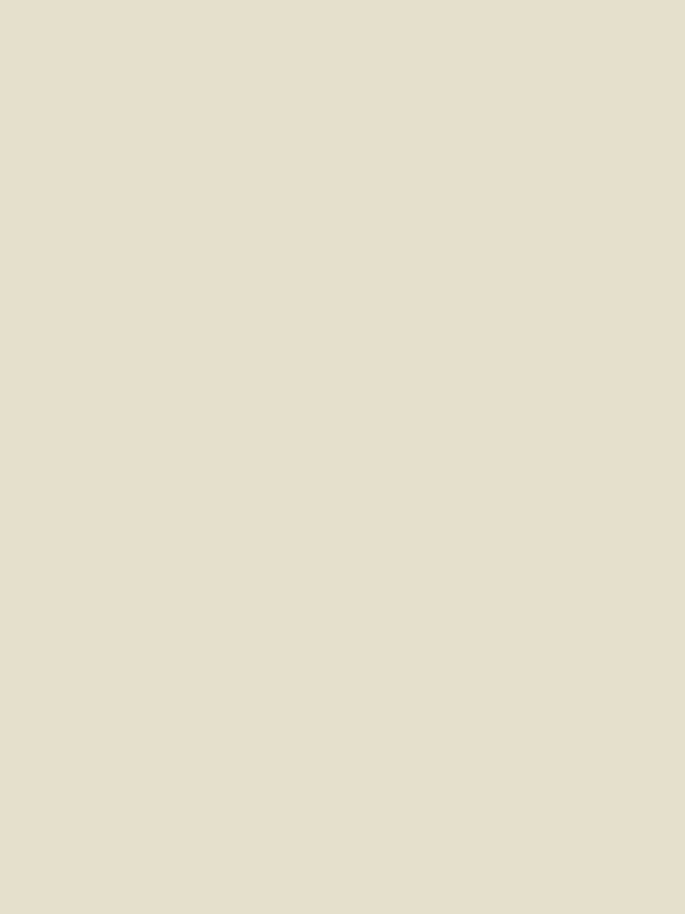 Gallon de peinture 2.5L Classico, Oyster White