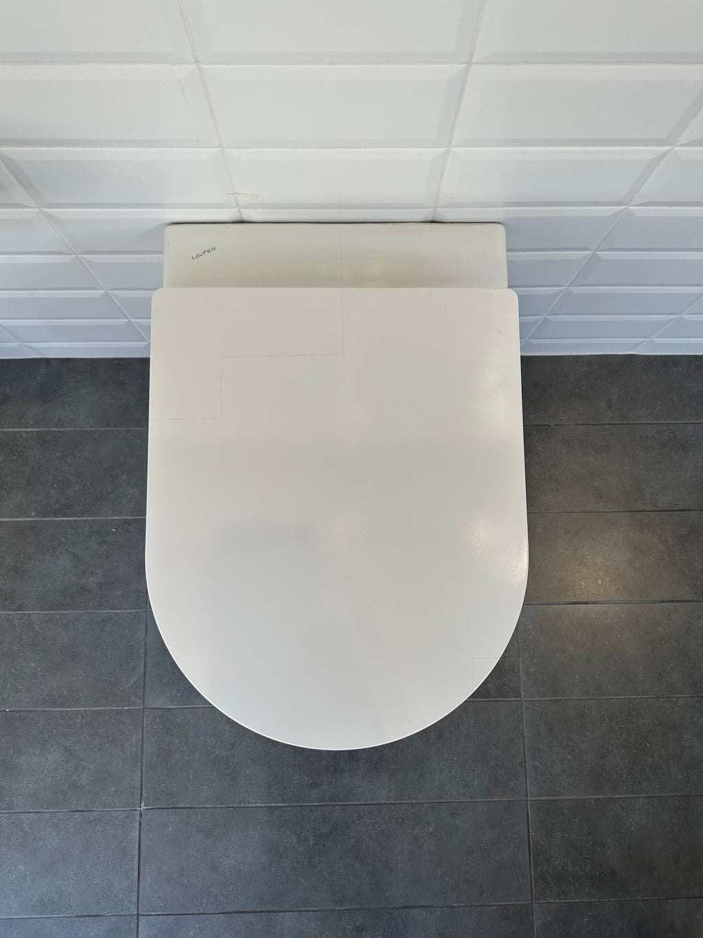 Toilette murale