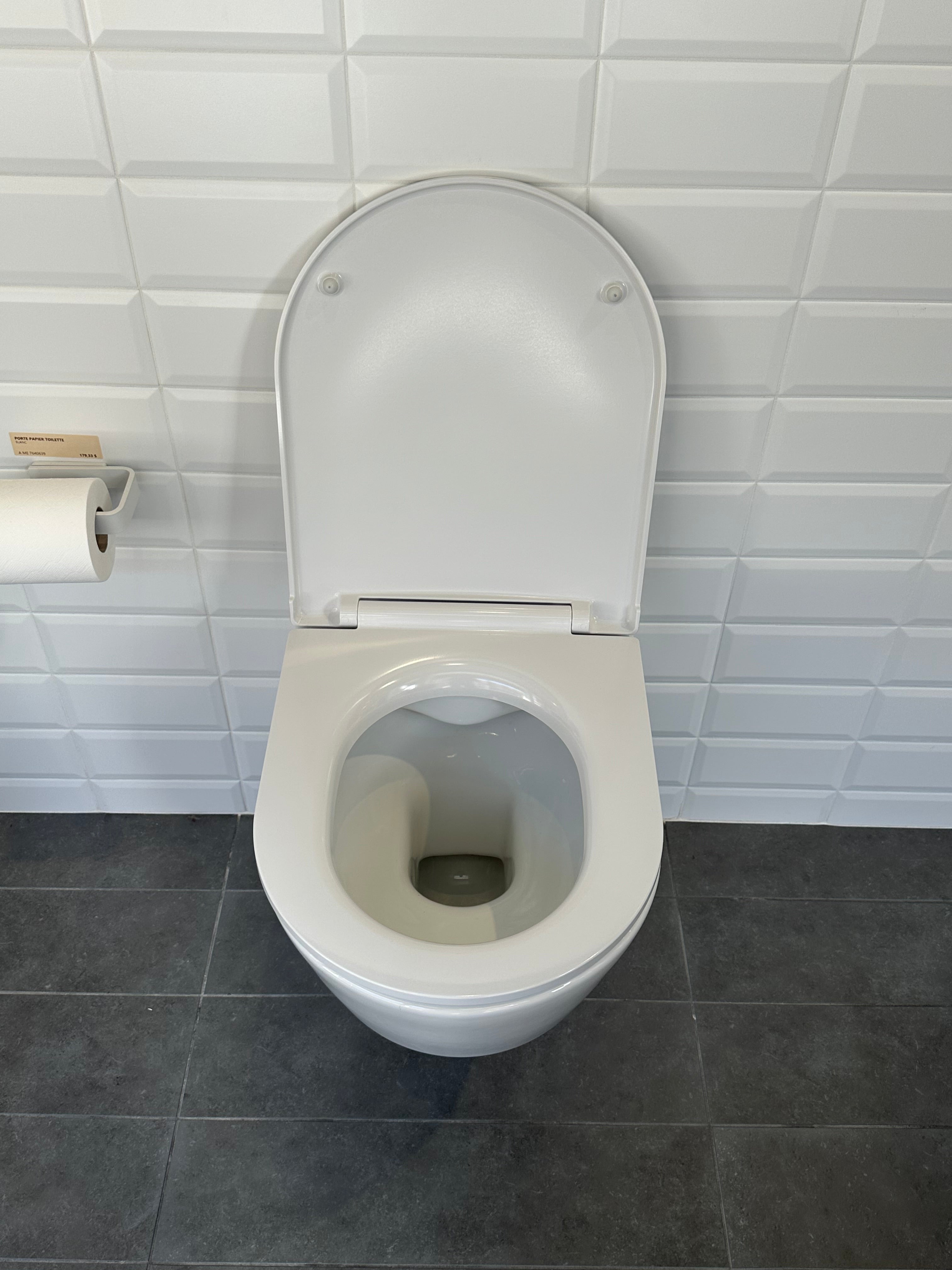 Toilette murale